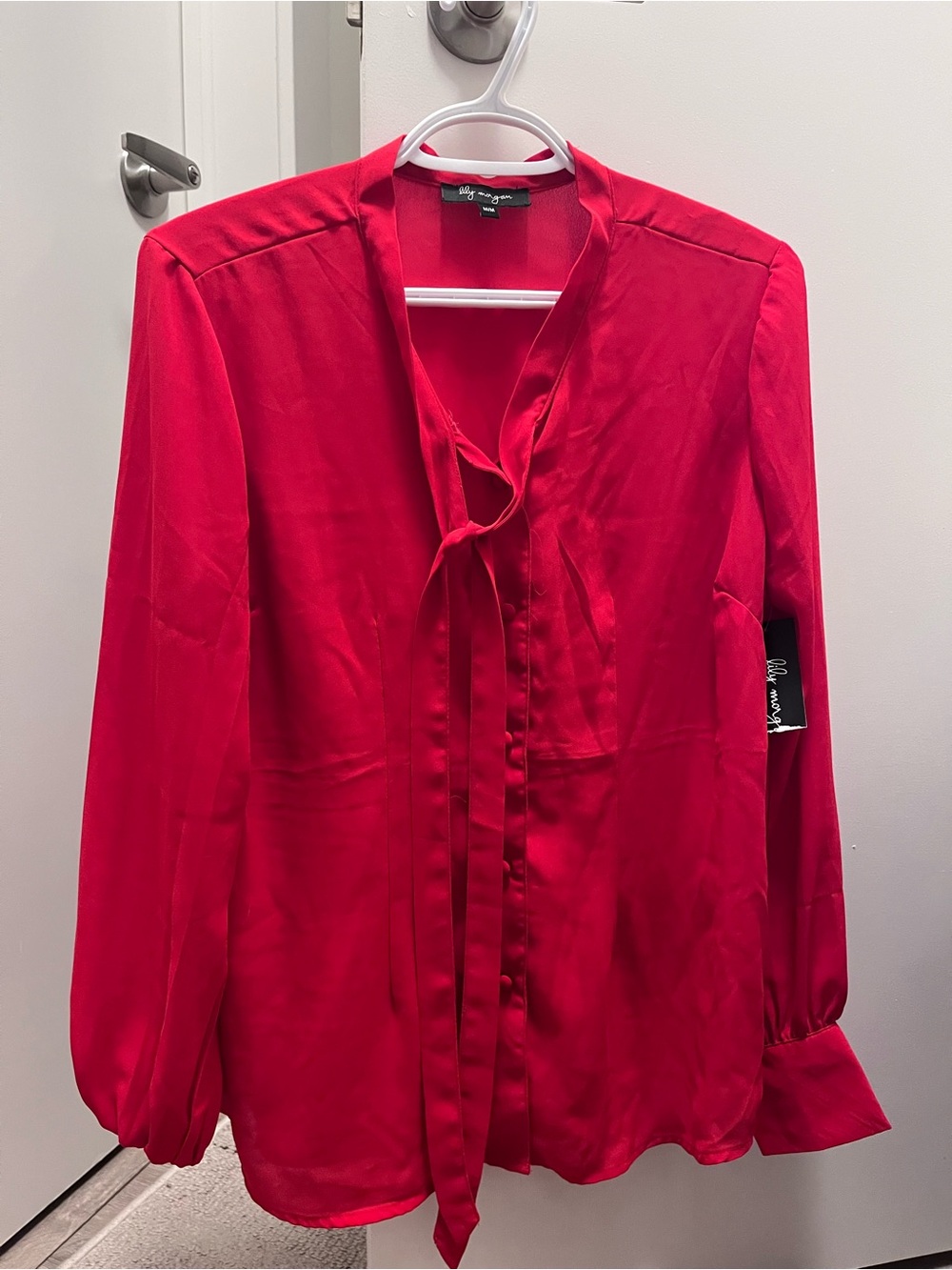 Tie-Neck Long Sleeve Blouse in Red